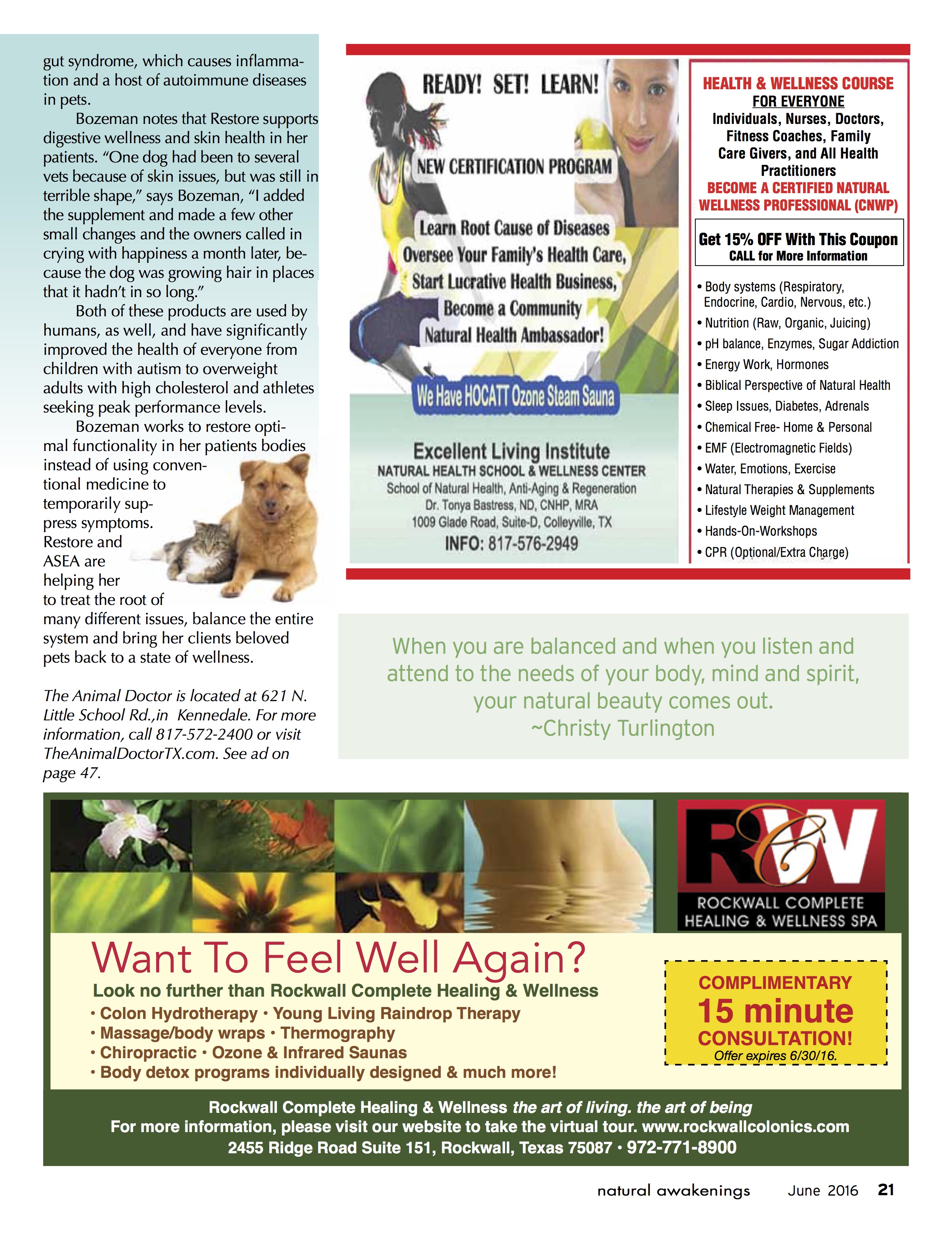 Portfolio_DAL_AnimalDoctor2